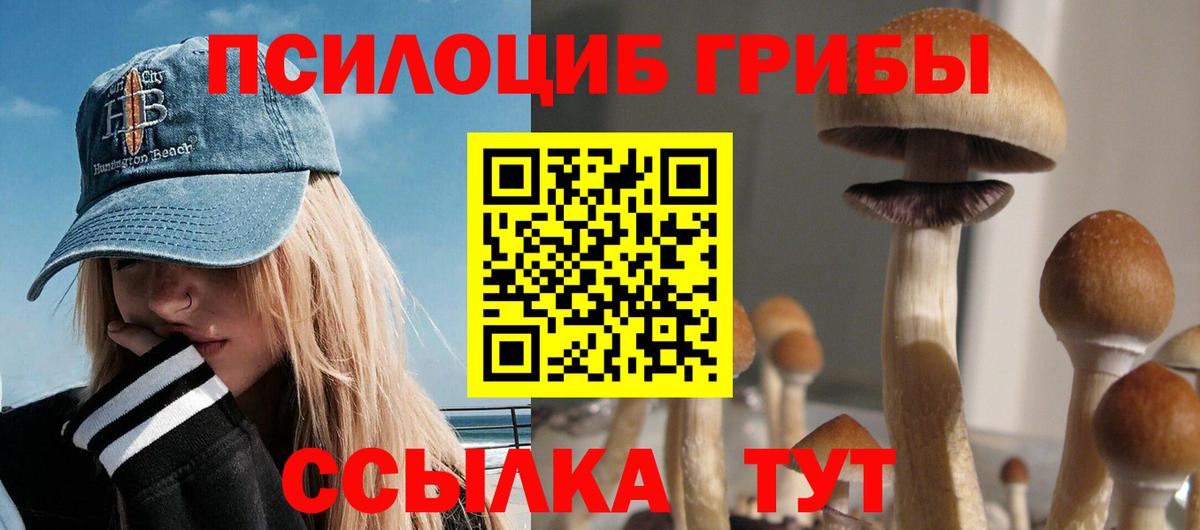 Псилоцибиновые грибы GOLDEN TEACHER Усть-Джегута