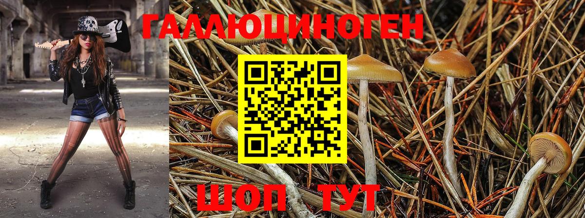 Псилоцибиновые грибы Psilocybe  Галлюциногенные грибы ЛСД  где купить   Усть-Джегута  Вход с VPN 